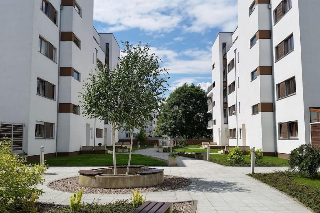 Ferienwohnung Rosenmöwe_App_Swinemünde Zimmer foto